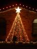 Lynn's Christmas lite Tree