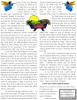 Zoch Family Christmas Letter Page 3